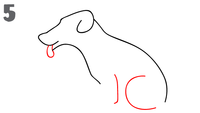 kako-nacrtati-psa-slika-5