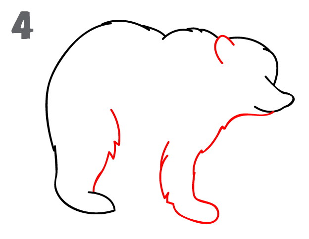 crtanje-medvjeda-4