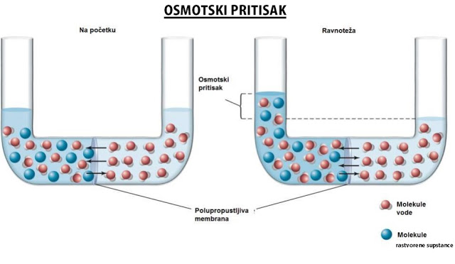 osmoza