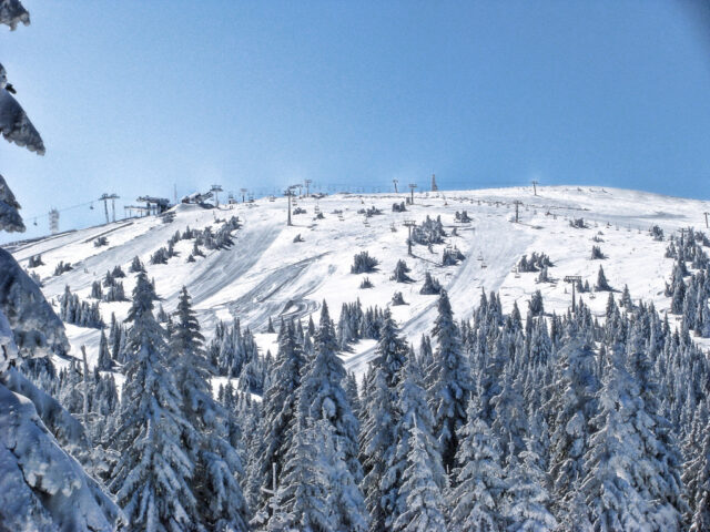 kopaonik