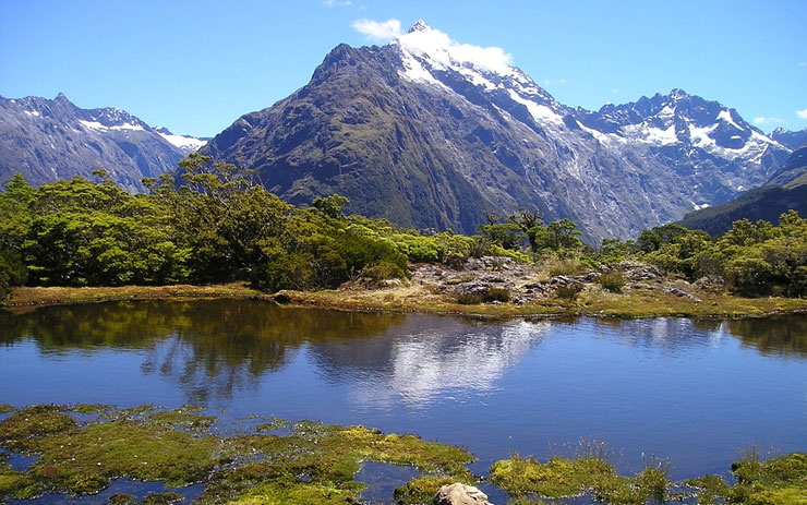 Priroda Novog Zelanda